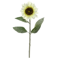 Sunflower Stem Cream