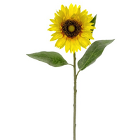 Sunflower Stem Yellow