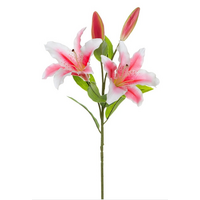 Casablanca Lily Real Touch Hot Pink