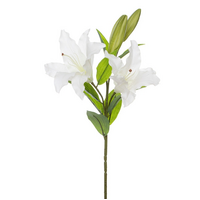Casablanca Lily Real Touch White
