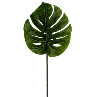 Philodendron Split Leaf Dark Green