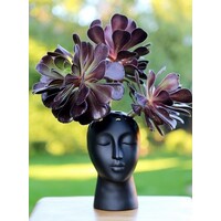 Eugenie Vase - Suitable for dry/fresh flowers