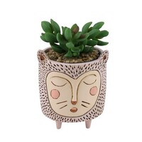 Baby PURRS Cat planter