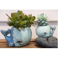 BABY WHALE planter