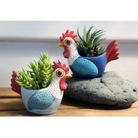 BABY ROOSTER planter