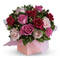  Blushing Roses - Romantic Mixed Pink Tones