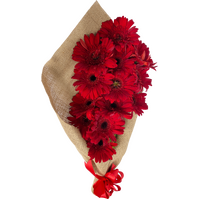 Red Gerberra Hessian Wrap Bouquet